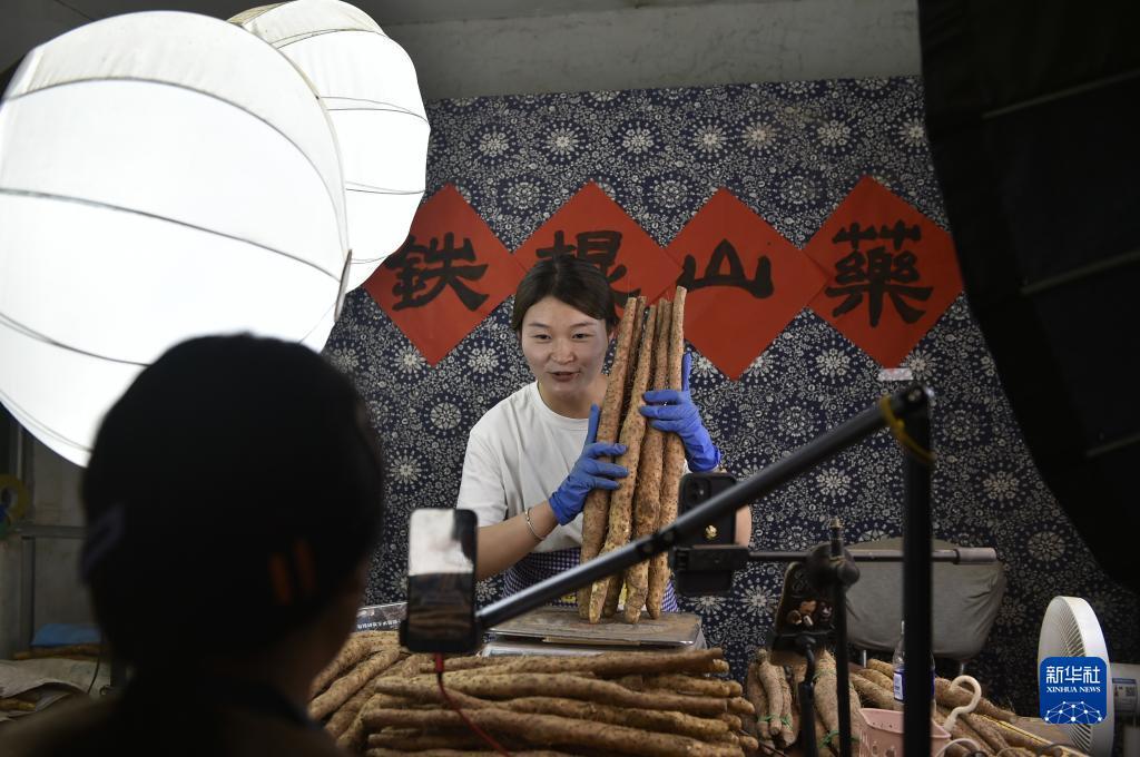 龙虎国际平台登录